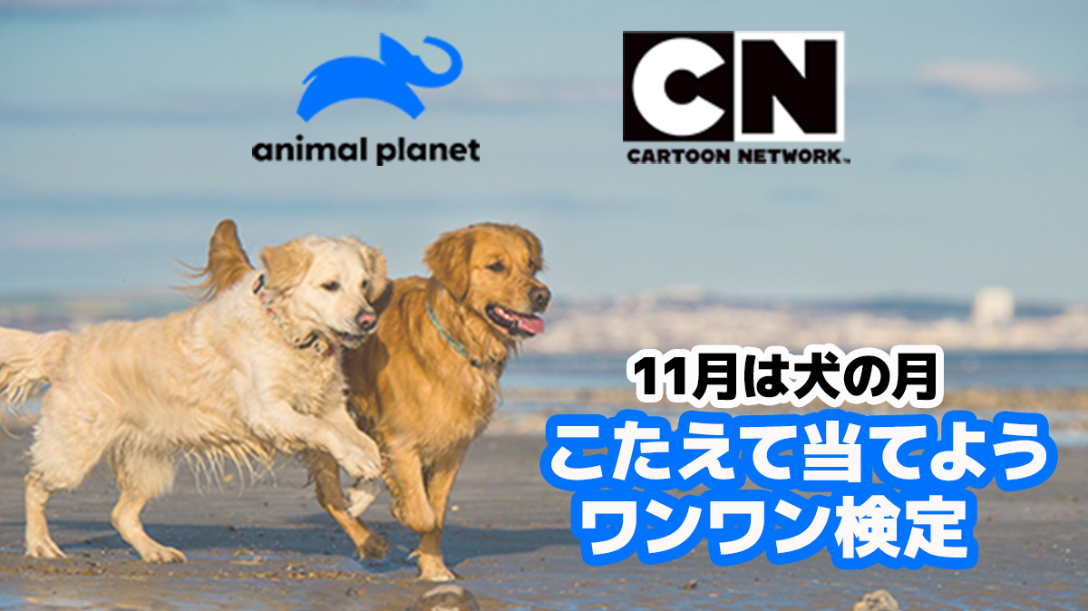 キャンペーンは終了しました※11月は犬の月！アニマルプラネット